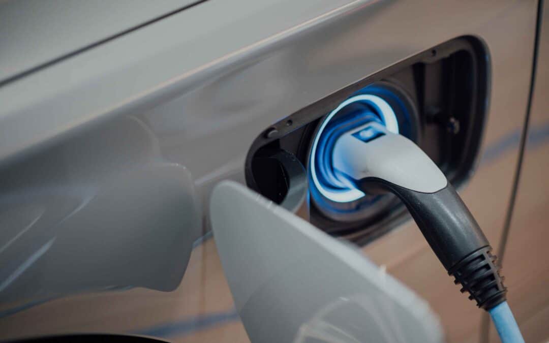 Photovoltaik über der Autobahn A2 – Lärmschutz, Biodiversität und Stromproduktion in einem